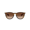 Ray-Ban Erika RB4171 865/13 54