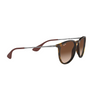 Ray-Ban Erika RB4171 865/13 54