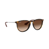 Ray-Ban Erika RB4171 865/13 54